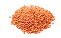 Organic masoor dal 500gm ( red lentils)
